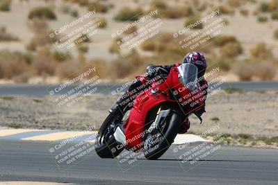 media/Apr-10-2022-SoCal Trackdays (Sun) [[f104b12566]]/Turn 5 Tree of Life (1040am)/